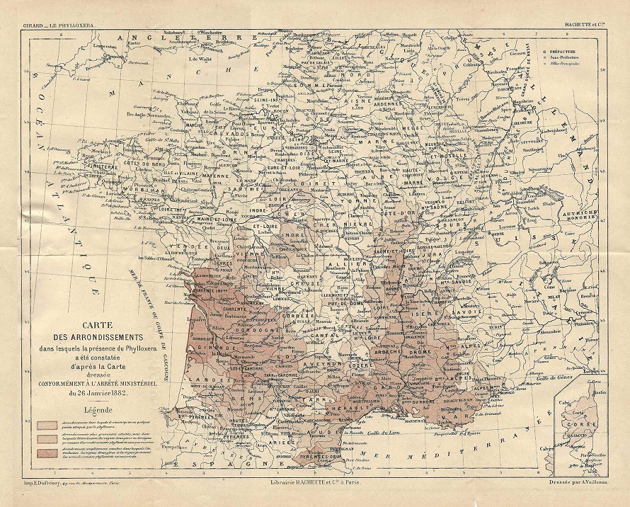 Map of Phylloxera in France 1882