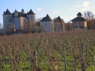 Vine and Castel in Quercy