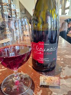 L&rsquo;Icaunais JC Courtois, made with pre-phylloxerq grapes