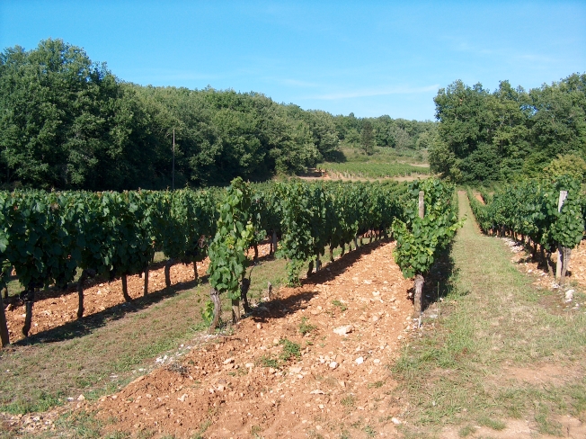 Causse in the Quercy Region, Lot