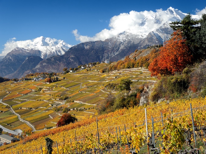 Vineyards of Sion and Saviève, Valais